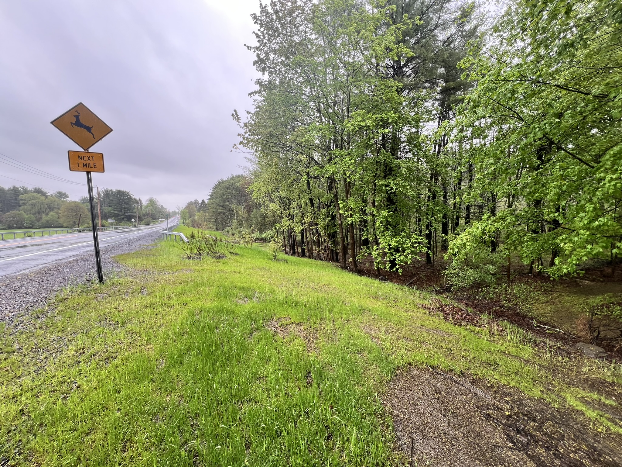 Route 81, 12051, ,Land,For sale,Route 81,1569