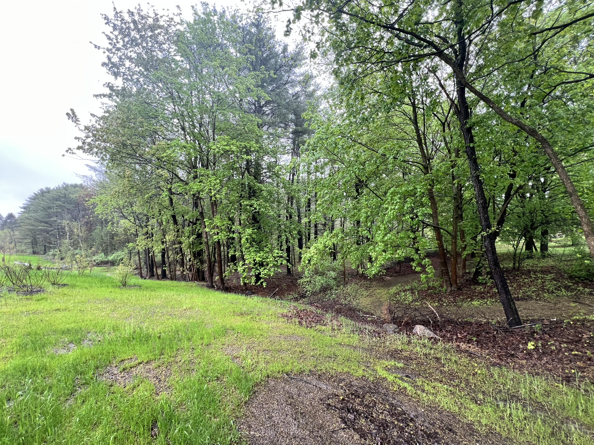Route 81, 12051, ,Land,For sale,Route 81,1569