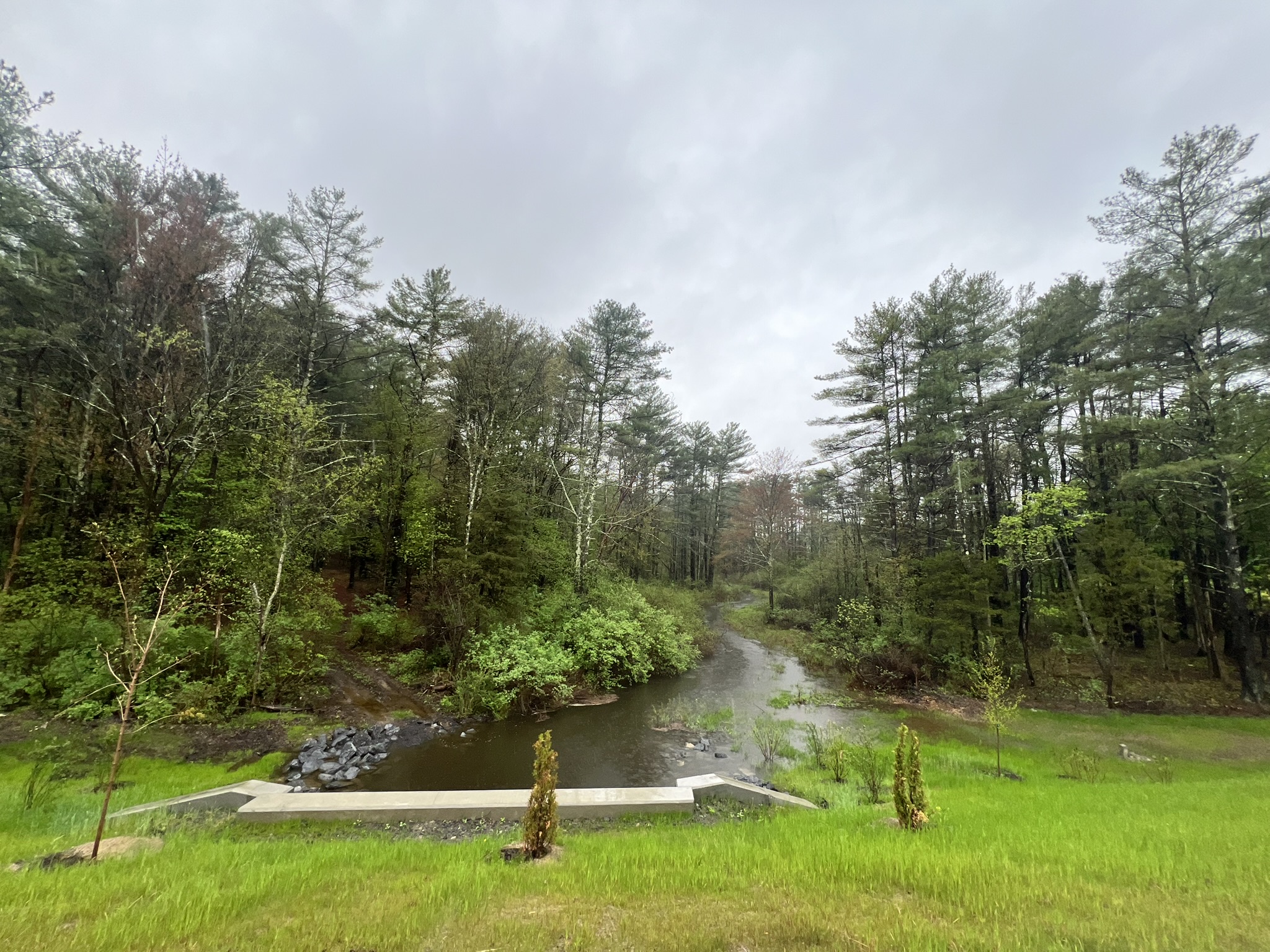 Route 81, 12051, ,Land,For sale,Route 81,1569
