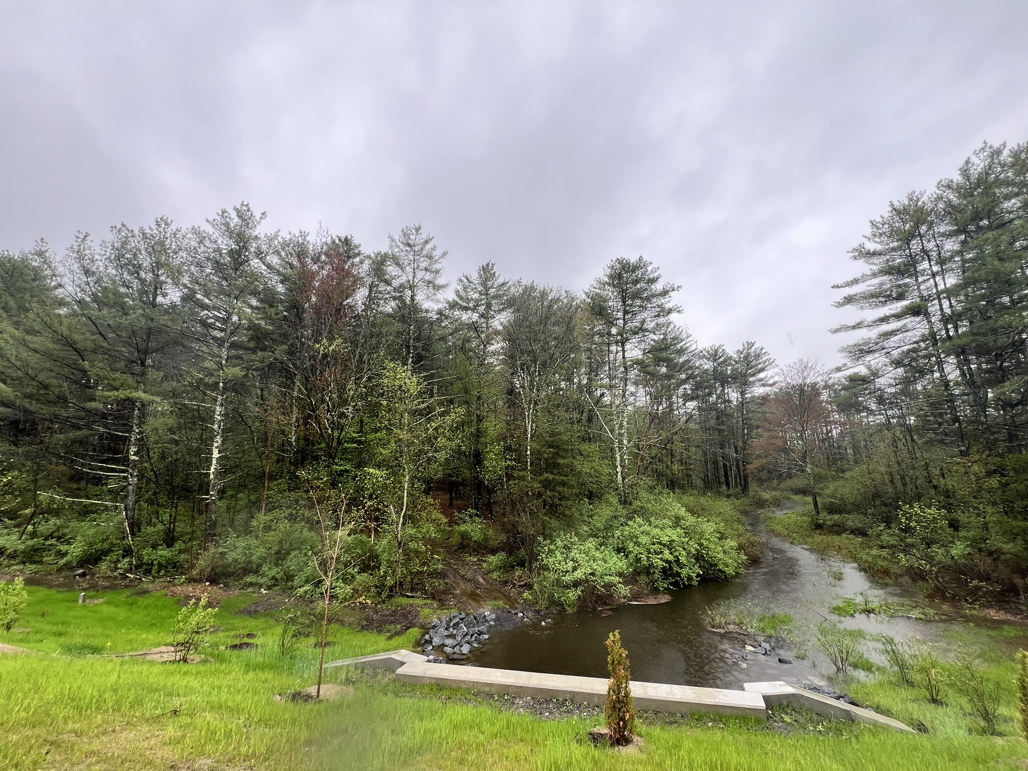 Route 81, 12051, ,Land,For sale,Route 81,1569