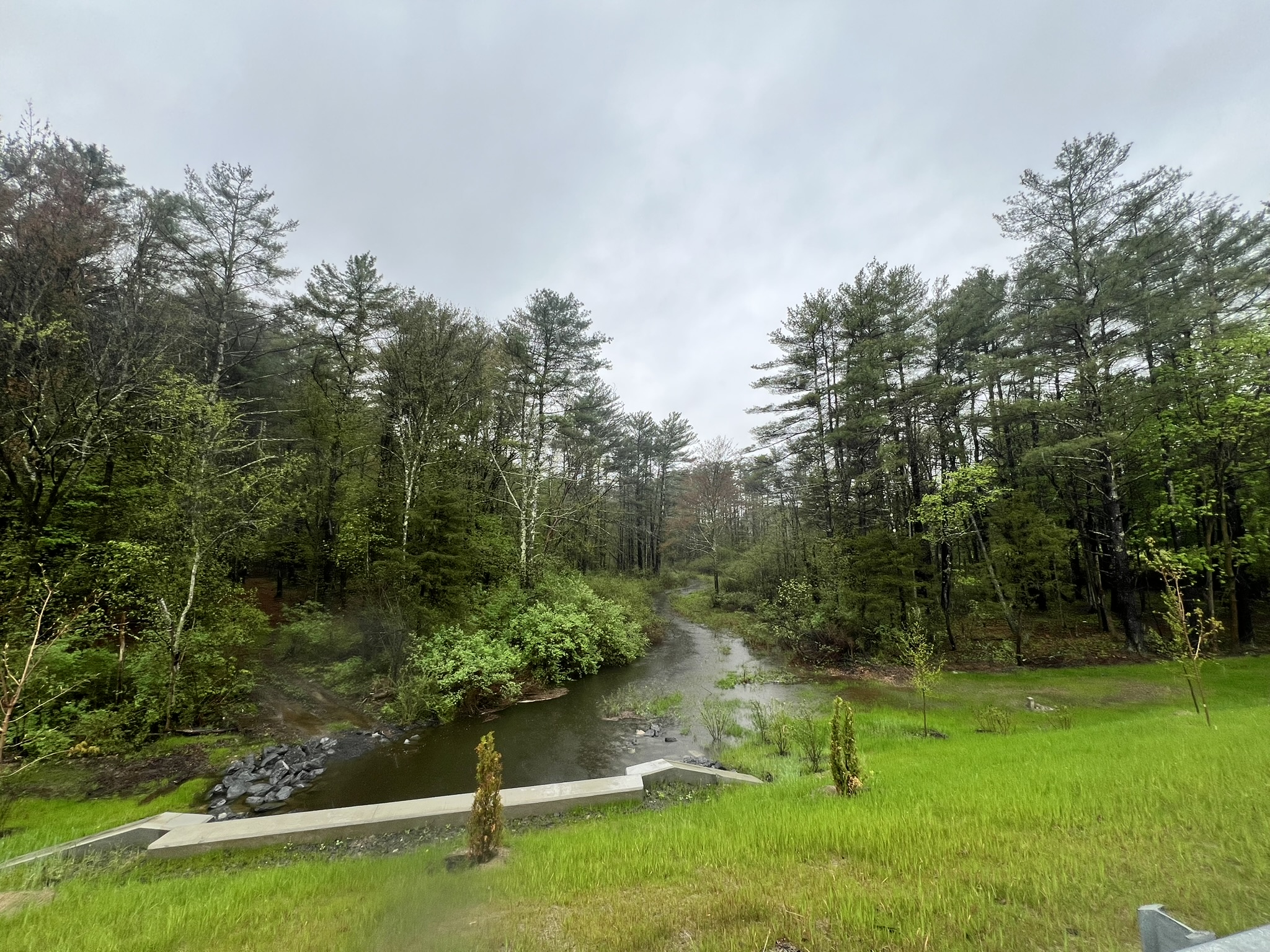 Route 81, 12051, ,Land,For sale,Route 81,1569
