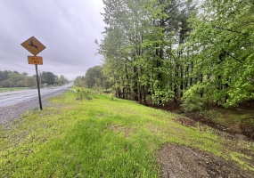 Route 81, 12051, ,Land,For sale,Route 81,1569