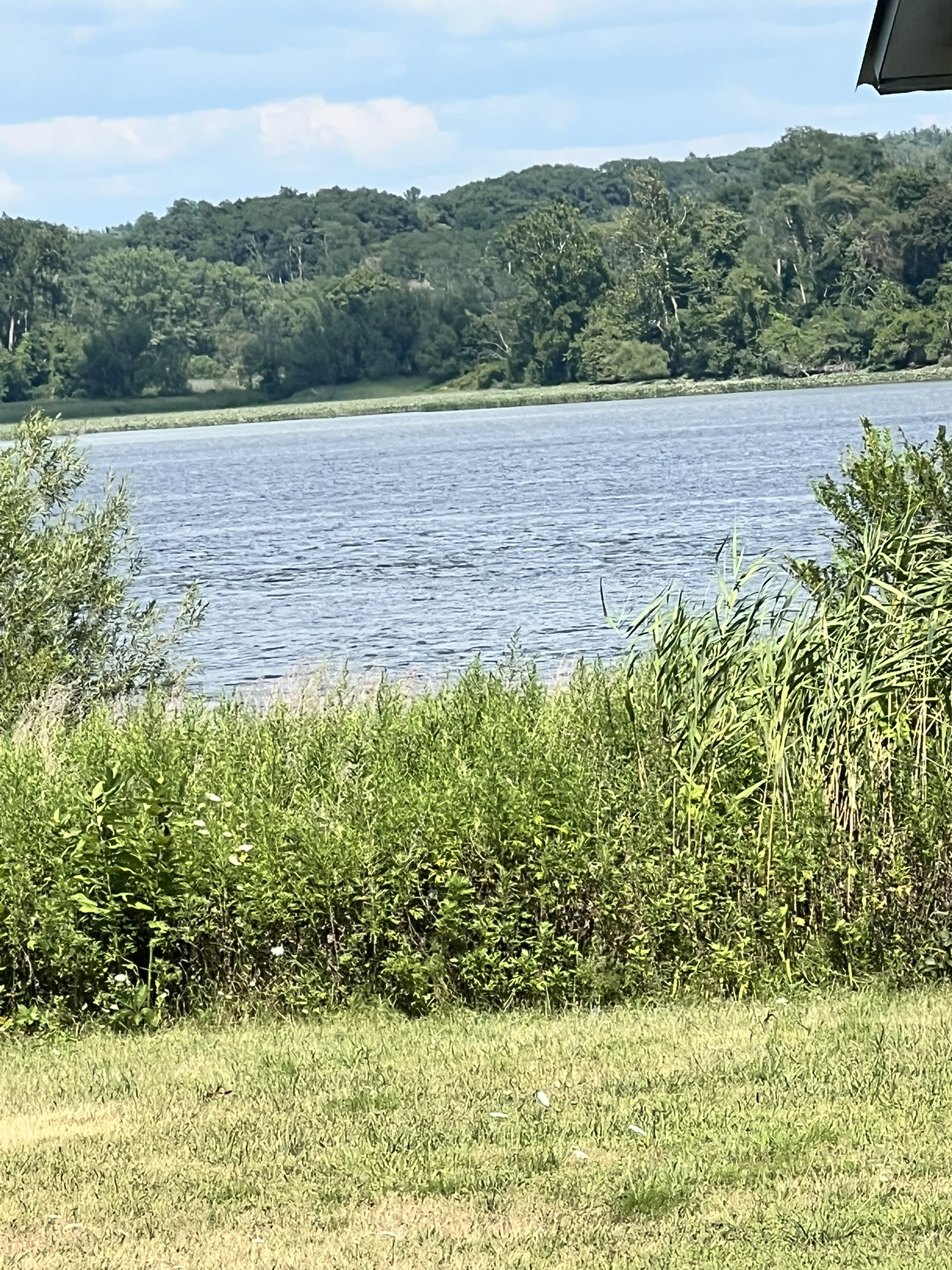 176 Green Bedell, 12051, 0 , 0 ,0,Land,For sale,Green Bedell,0,1580