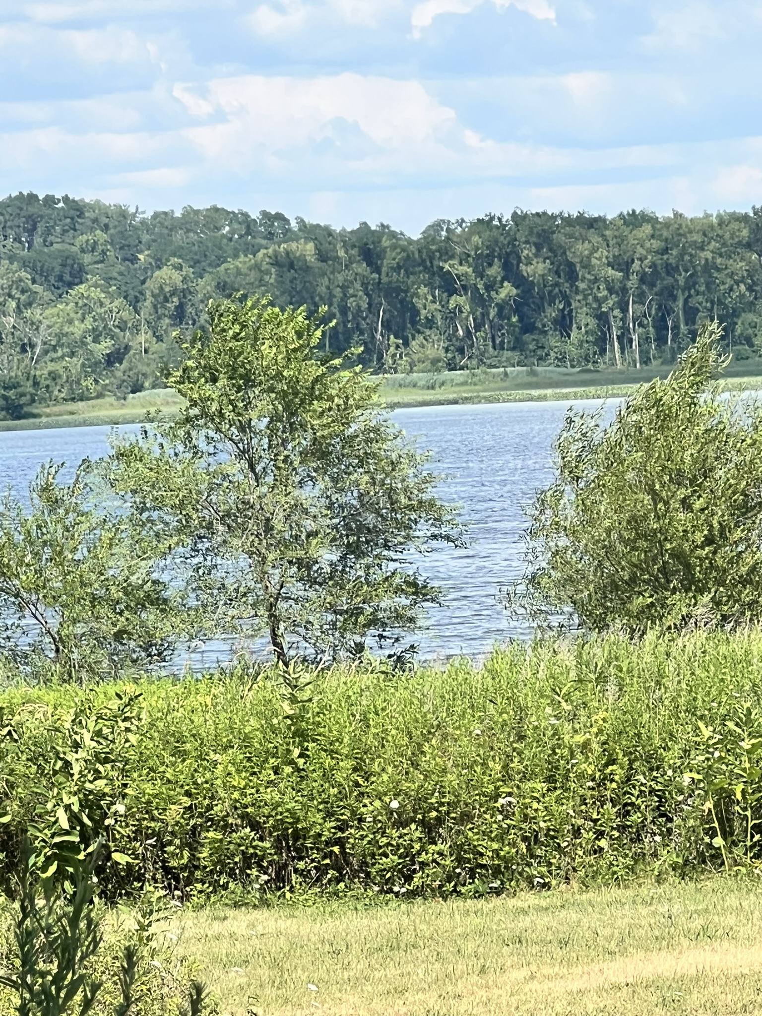 176 Green Bedell, 12051, 0 , 0 ,0,Land,For sale,Green Bedell,0,1580