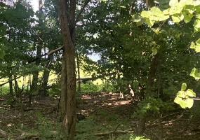 176 Green Bedell, 12051, 0 , 0 ,0,Land,For sale,Green Bedell,0,1580