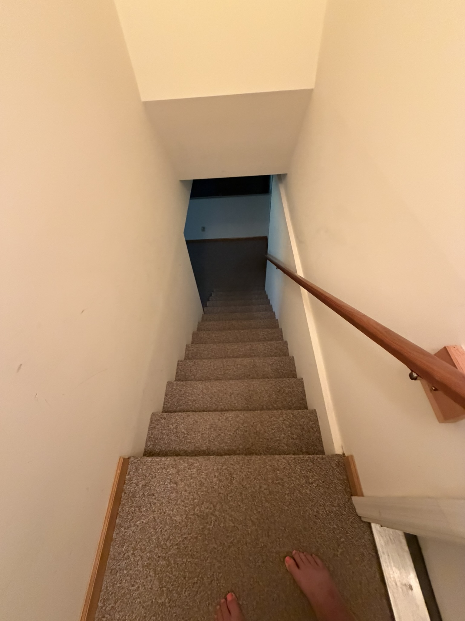 21 S. Court, 12083, 0 , 0 ,0,Townhome,For sale,S. Court,0,1584