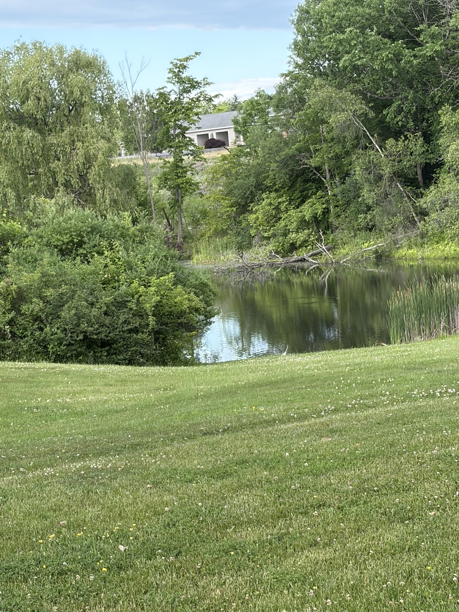 21 S. Court, 12083, 0 , 0 ,0,Townhome,For sale,S. Court,0,1584