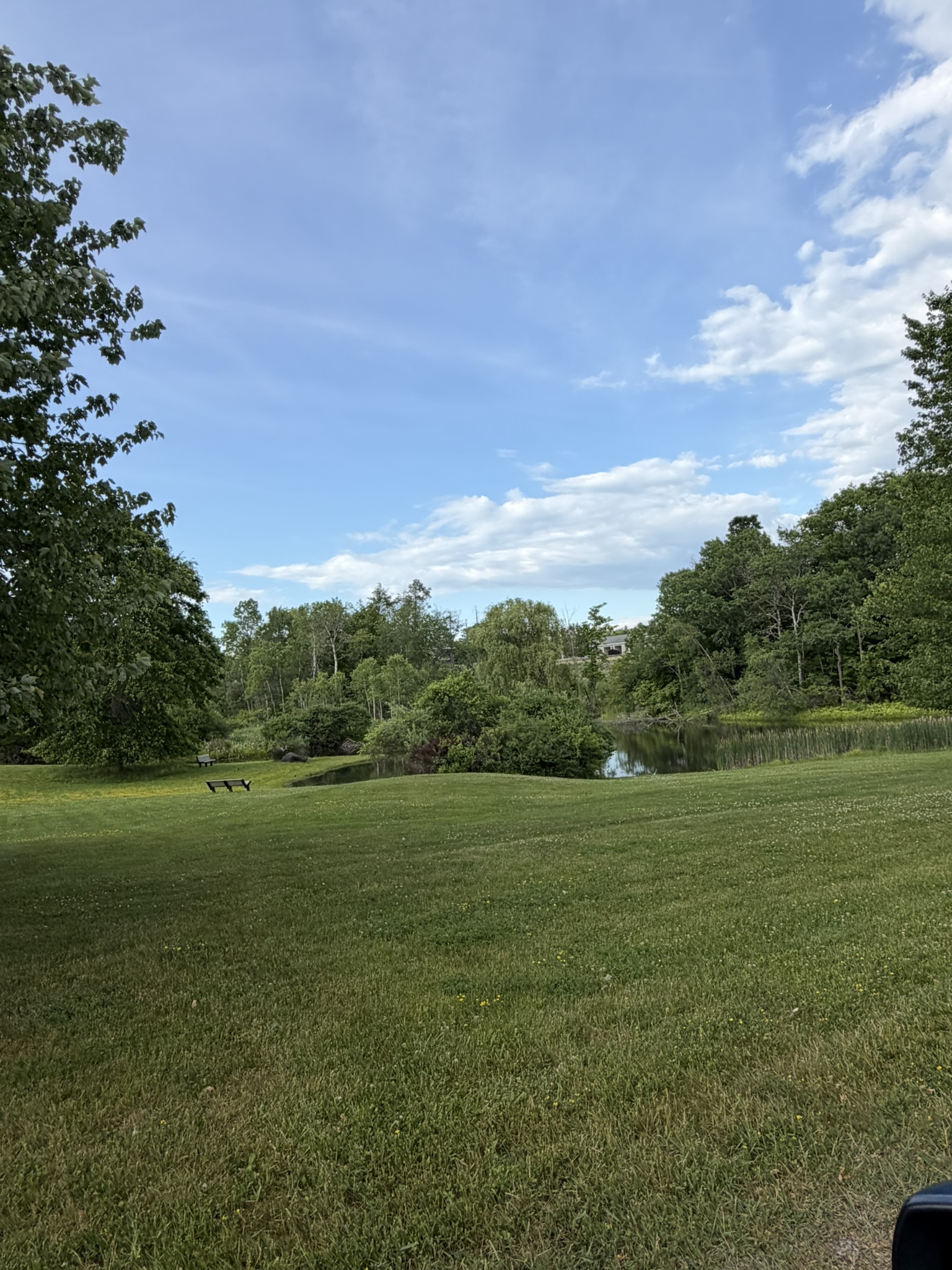 21 S. Court, 12083, 0 , 0 ,0,Townhome,For sale,S. Court,0,1584