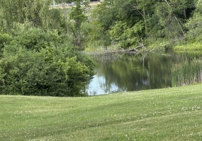 21 S. Court, 12083, 0 , 0 ,0,Townhome,For sale,S. Court,0,1584