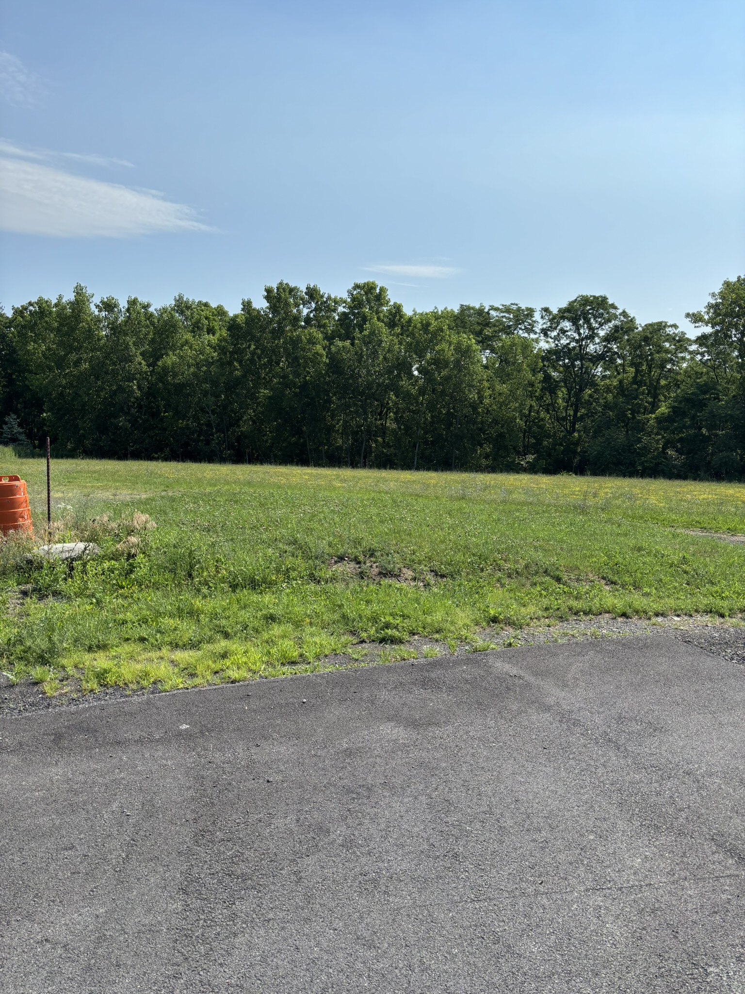 1042 Schoharie Tpk, 12414, 7 Bedrooms Bedrooms, 0 ,3 BathroomsBathrooms,Multi-Family,For sale,Schoharie Tpk,0,1586