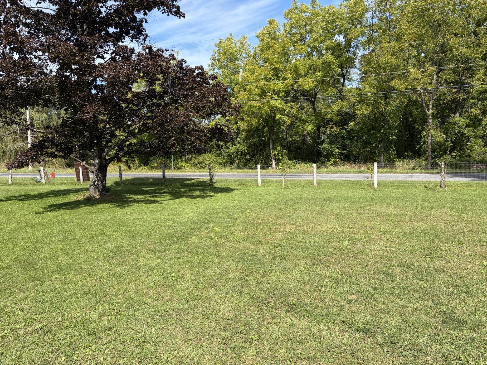 33 Adams, 12051, 3 Bedrooms Bedrooms, 0 ,2 BathroomsBathrooms,Single Family,For sale,Adams ,0,1591