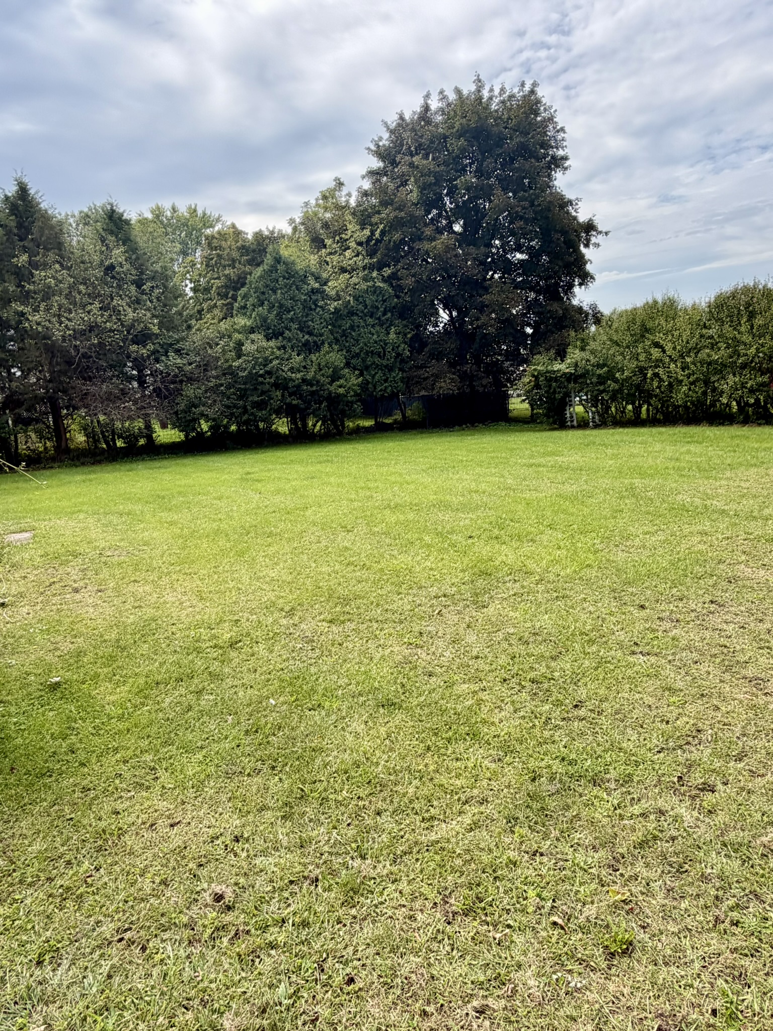 65 Ely, 12051, 3 Bedrooms Bedrooms, 0 ,3 BathroomsBathrooms,Single Family,For sale,Ely ,0,1594